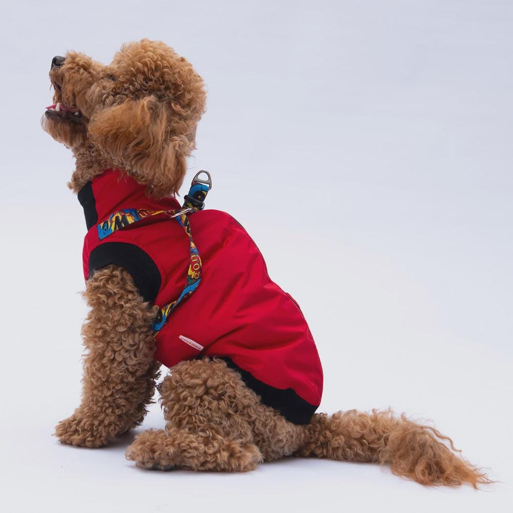 Nuuk Red Vest
