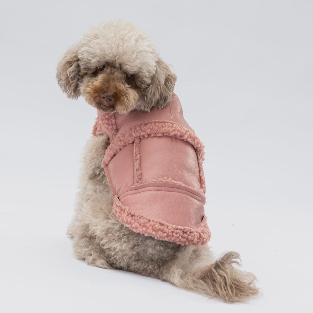 Rose Dog Vest: Stylish Small/Medium Puppy Jacket - Churchill Model