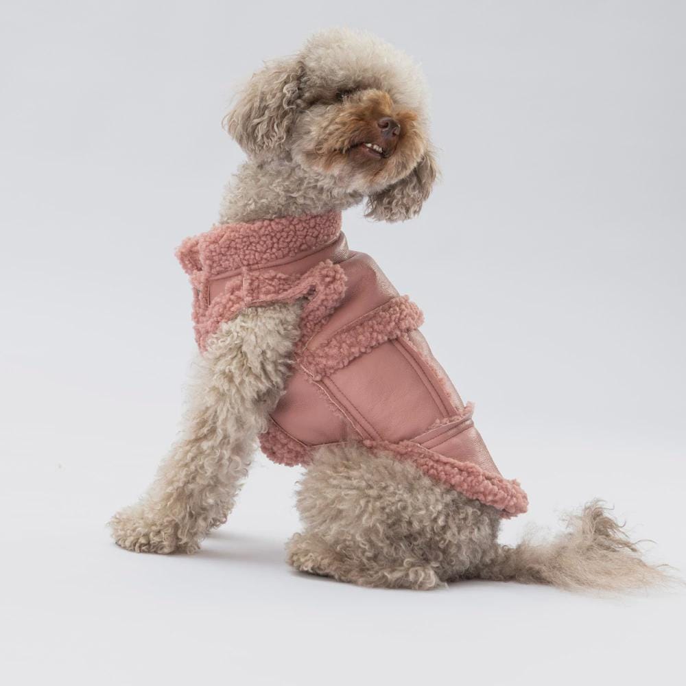 Rose Dog Vest: Stylish Small/Medium Puppy Jacket - Churchill Model