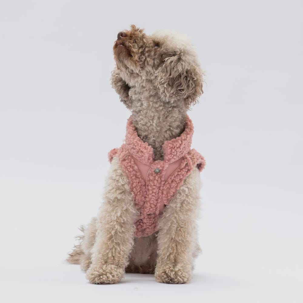 Churchill Rose Vest