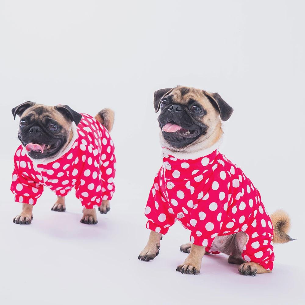 Fuchsia Polka Dot Dog Raincoat: Waterproof Puppy Poncho with Hood