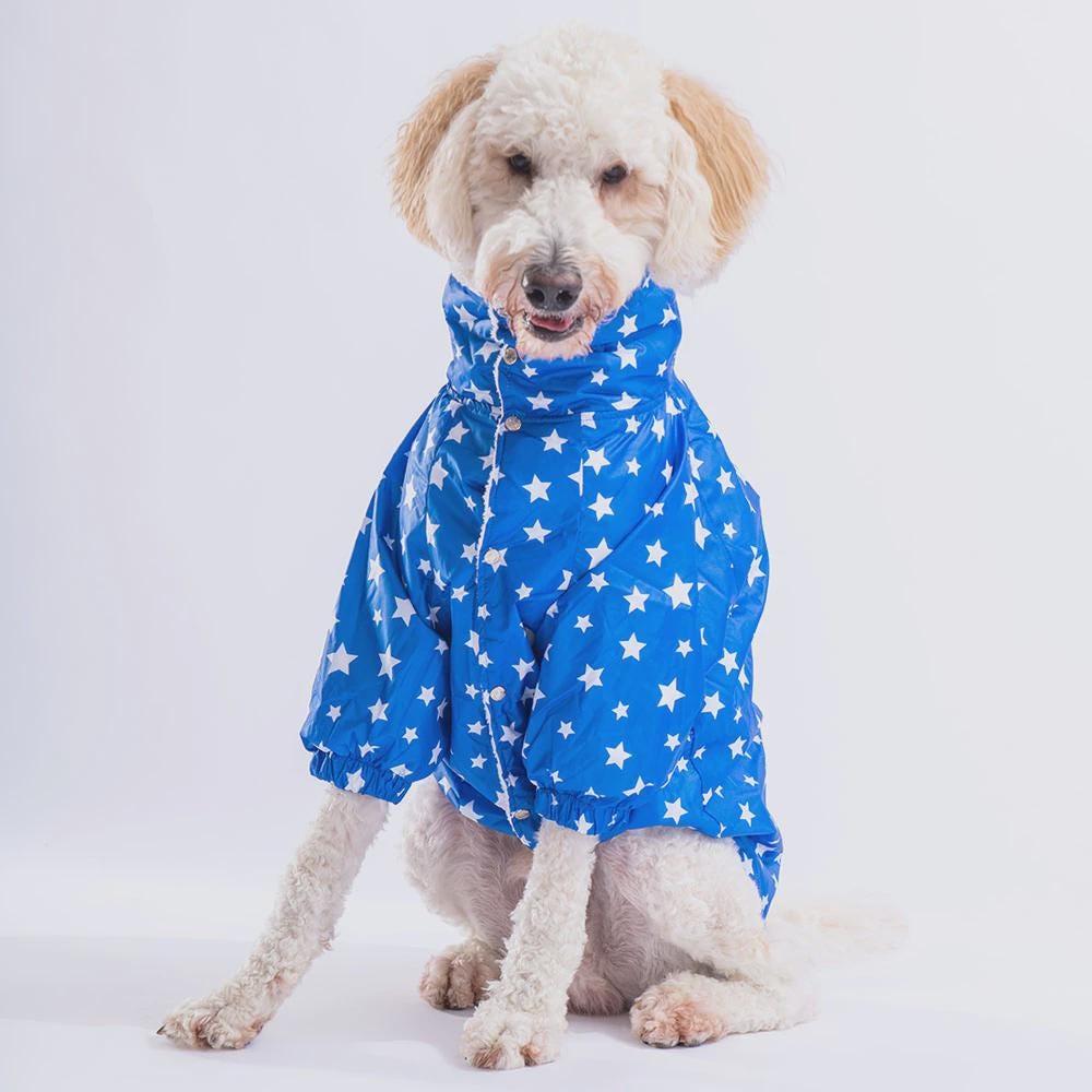 Blue Stars Raincoat