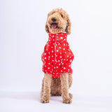 Red Stars Hooded Raincoat