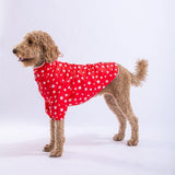 Red Stars Hooded Raincoat