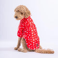 Red Stars Dog Raincoat: Waterproof Puppy Jacket with Hood