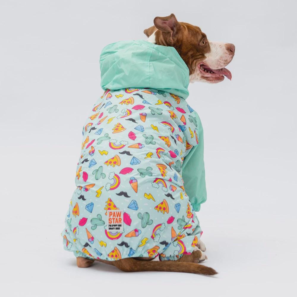 Tokyo Style Hooded Raincoat