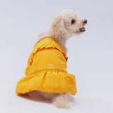 Yellow Elizabeth Raincoat