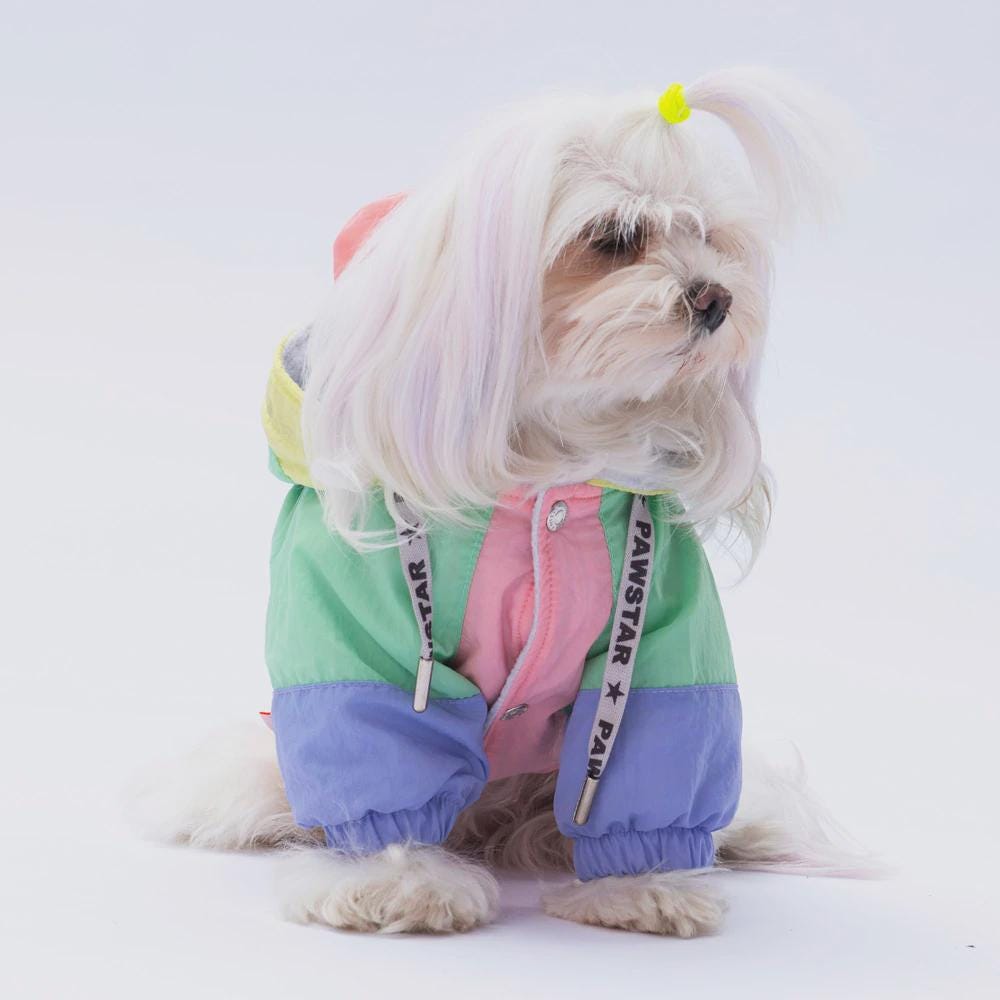 Pastel Kauai Dog Raincoat: Waterproof Lightweight Puppy Jacket