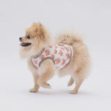 Cute Bears Tee