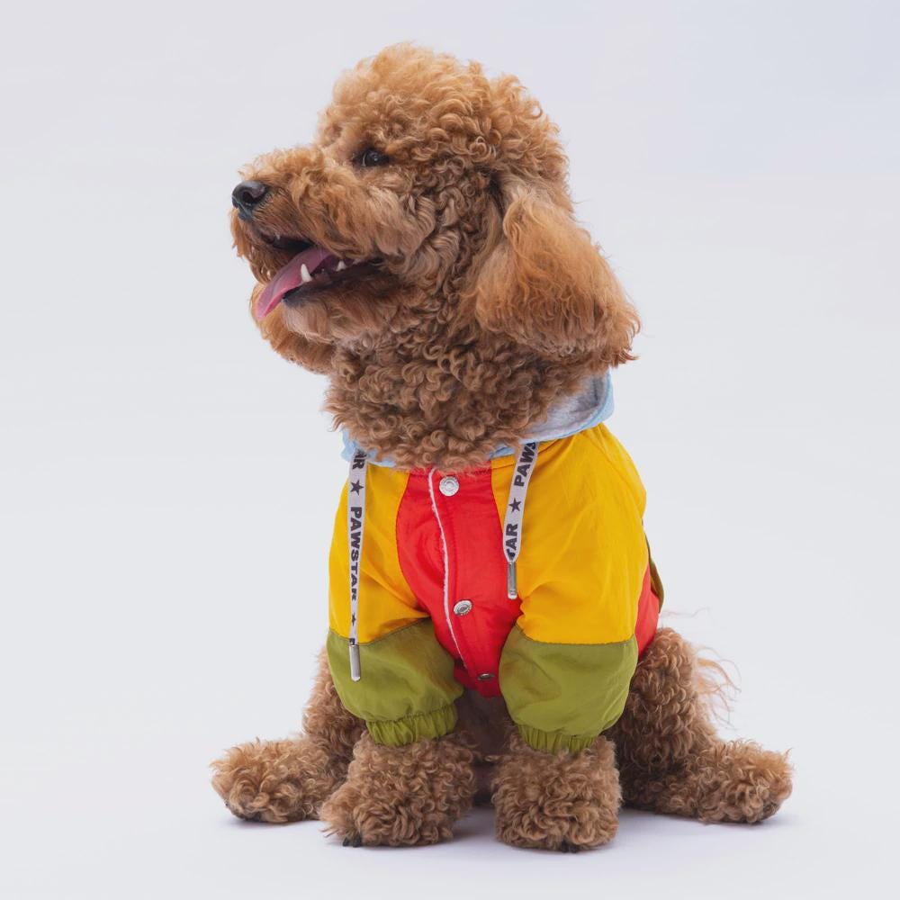 Colorful Raincoat