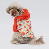 Ottawa Raincoat