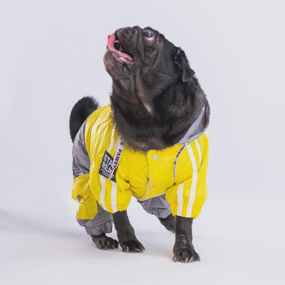 Yellow & Gray Hooded Raincoat