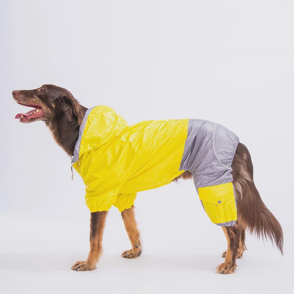 Yellow & Gray Hooded Raincoat