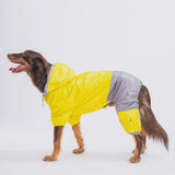 Yellow & Gray Hooded Raincoat