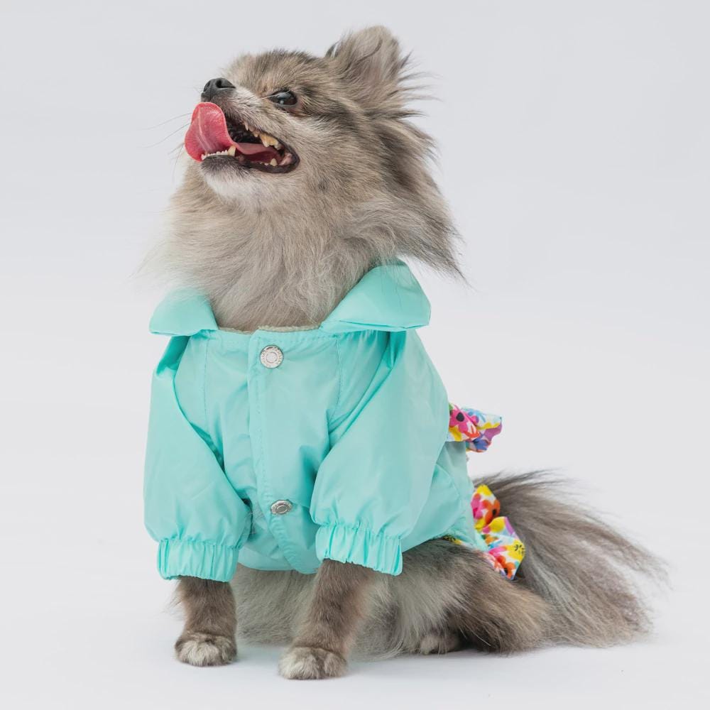 Mint Green Raincoat
