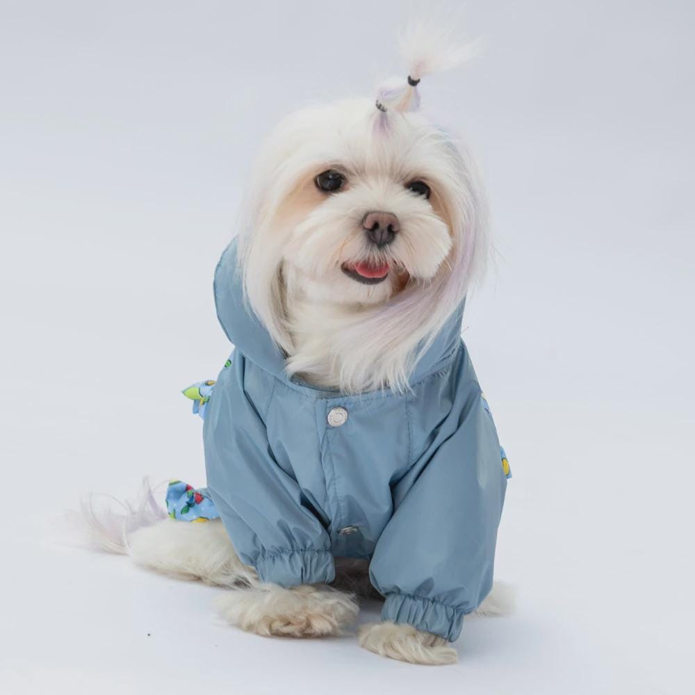 Gray Hooded Raincoat