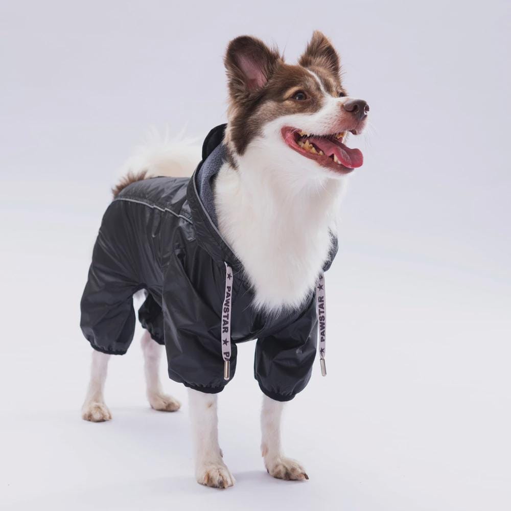 Black Hooded Raincoat