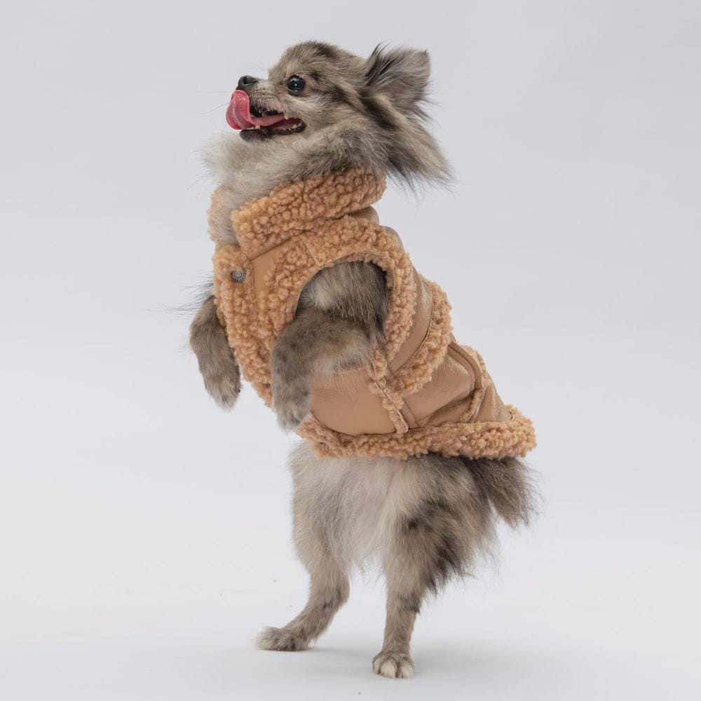 Churchill Beige Vest