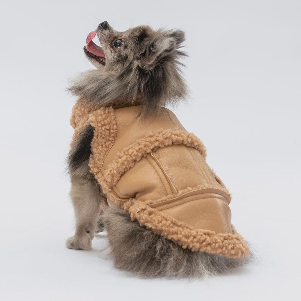 Beige Dog Vest: Stylish Small/Medium Puppy Jacket - Churchill Model