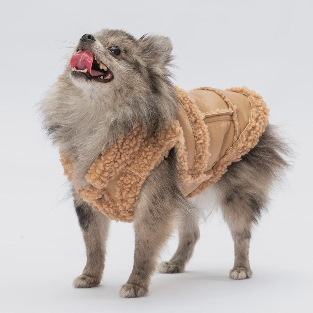 Churchill Beige Vest