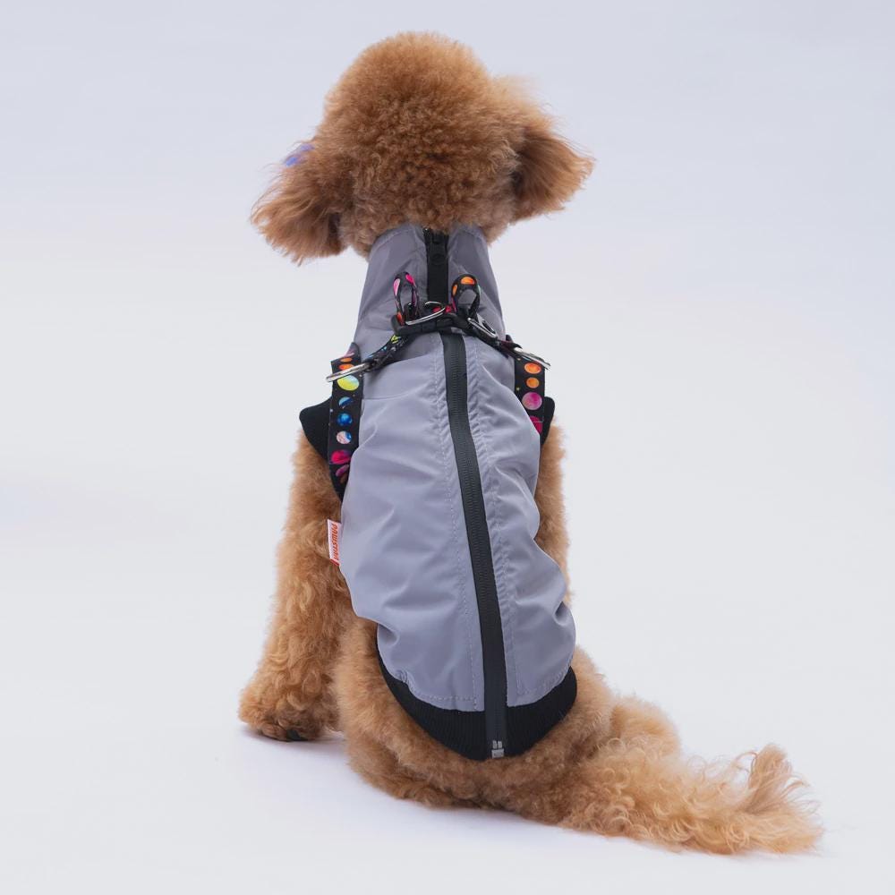 Nuuk Model Gray Dog Vest: Warm, Lightweight Winter Outfit