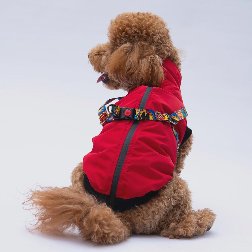 Nuuk Model Red Dog Vest: Warm, Lightweight Winter Outfit