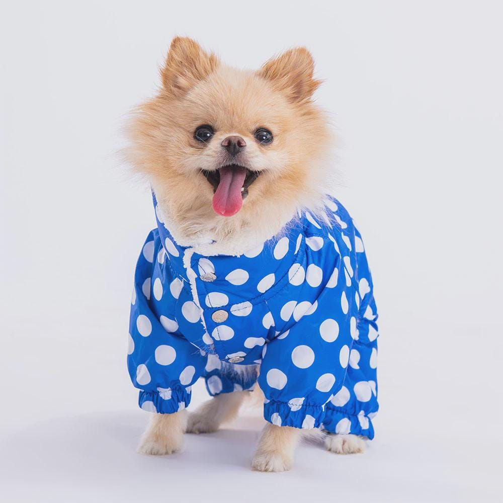 Blue Polka Dot Hooded Poncho