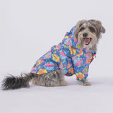 Dinosaur Hooded Raincoat