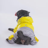 Yellow & Gray Hooded Raincoat
