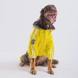 Yellow & Gray Hooded Raincoat