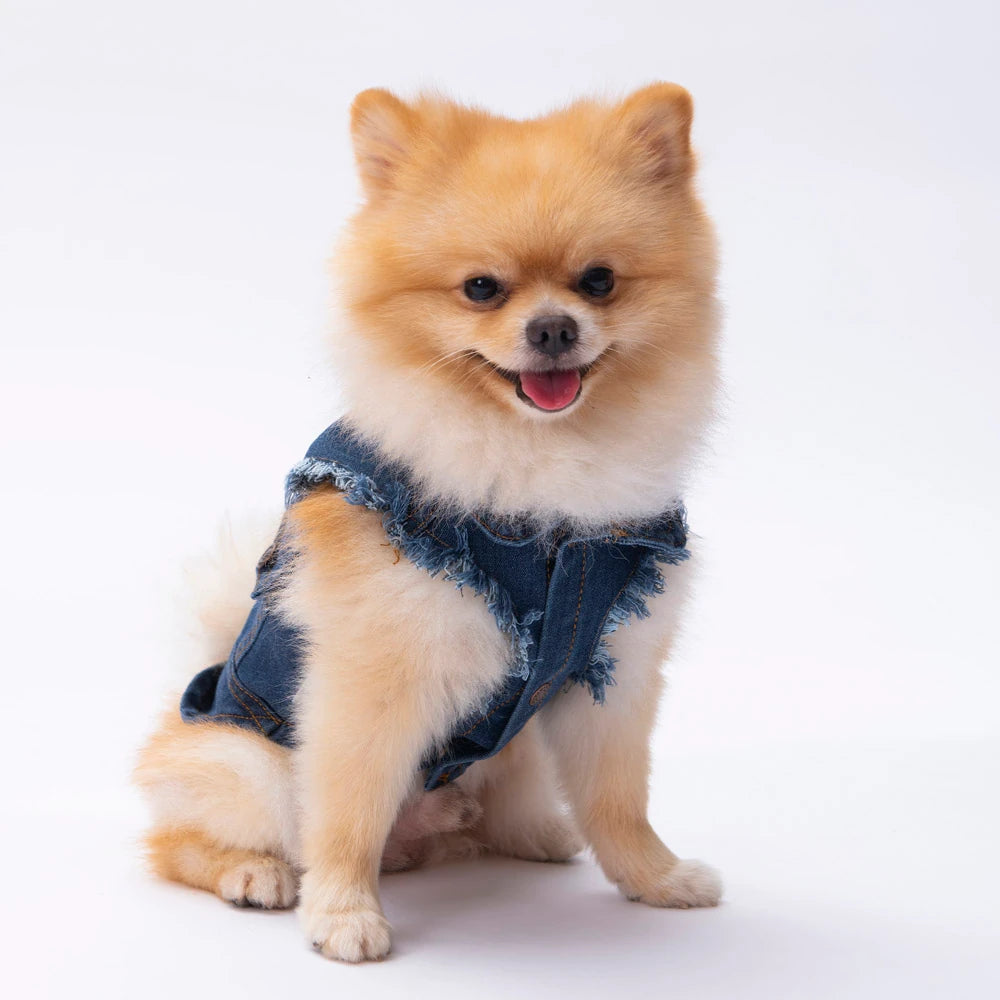 Denim Dog Vest Fashionable Denim Model Pet Jacket - Stylish Lightweight Daily Wear Puppy Clothing