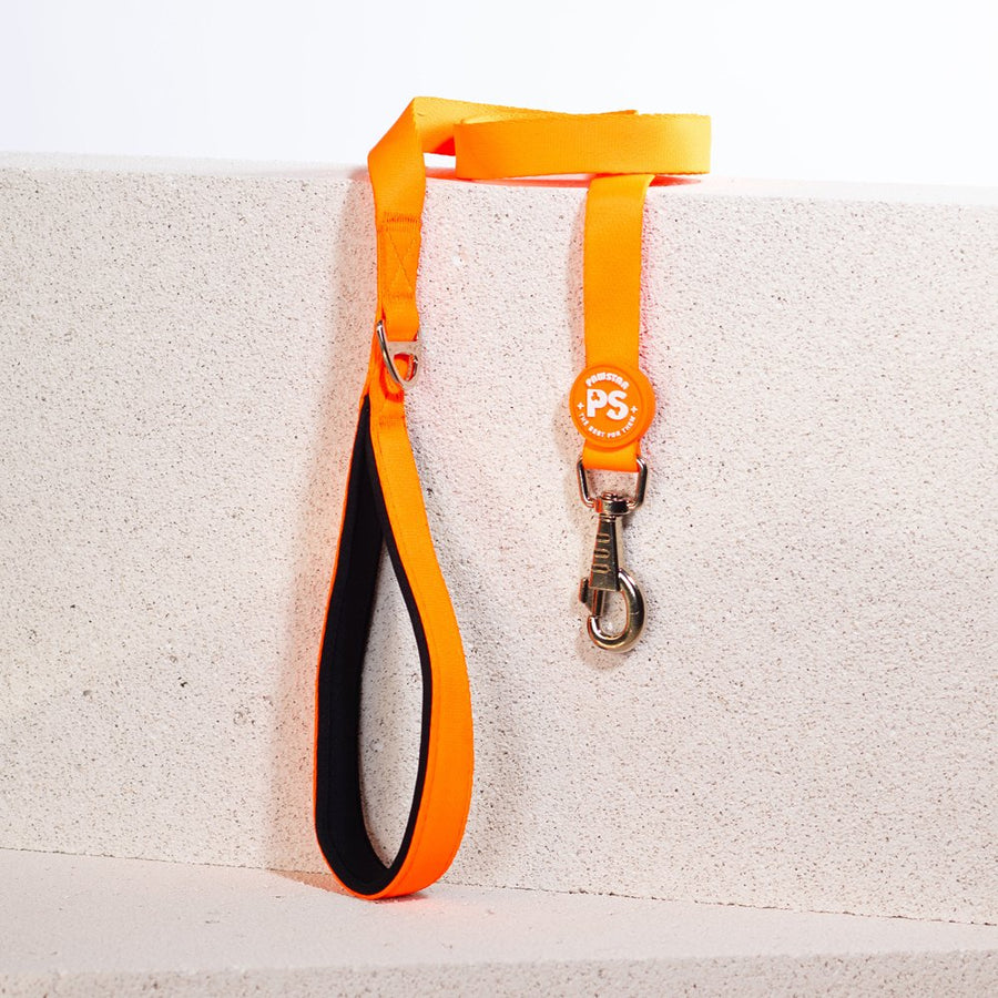 L02 Neon Orange Sevk Leash