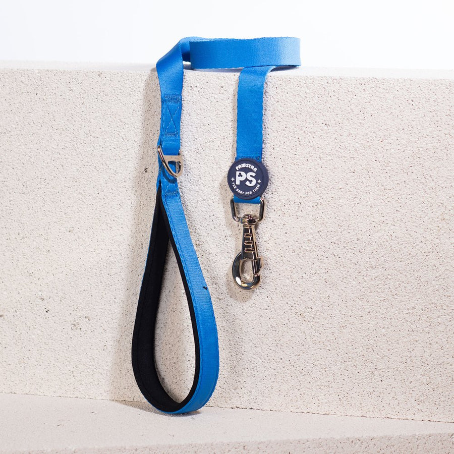 L06 Blue Sevk Leash