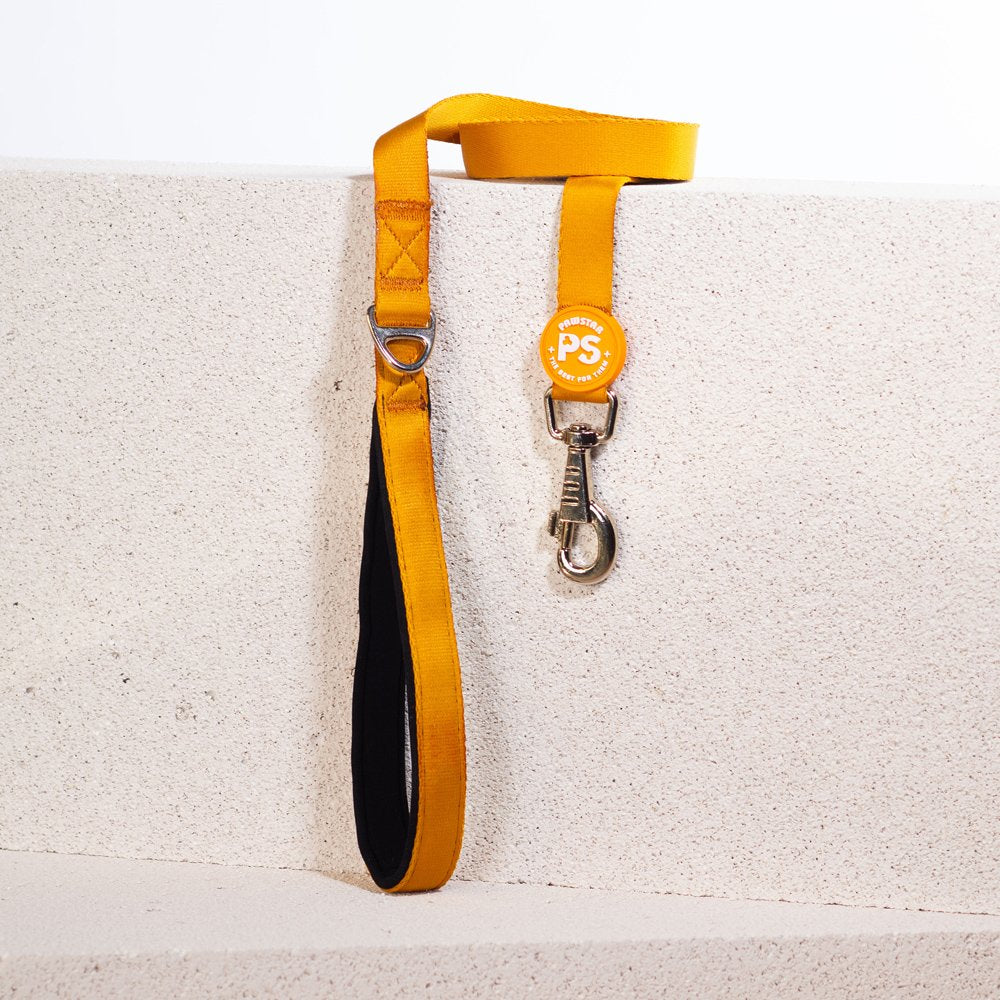 L07 Gold Sevk Leash
