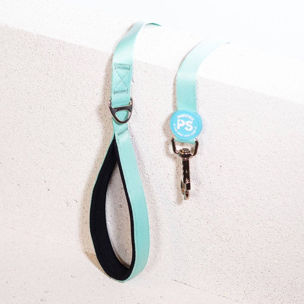 L09 Mint Sevk Leash