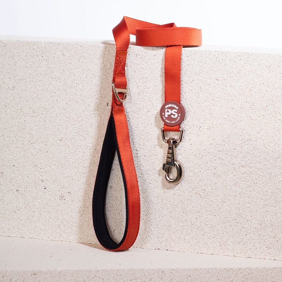 L11 Kiremit Sevk Leash