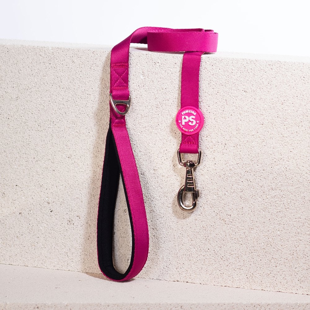 L12 Fuchsia Sevk Leash