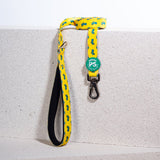 L16 Cactus Sevk Leash