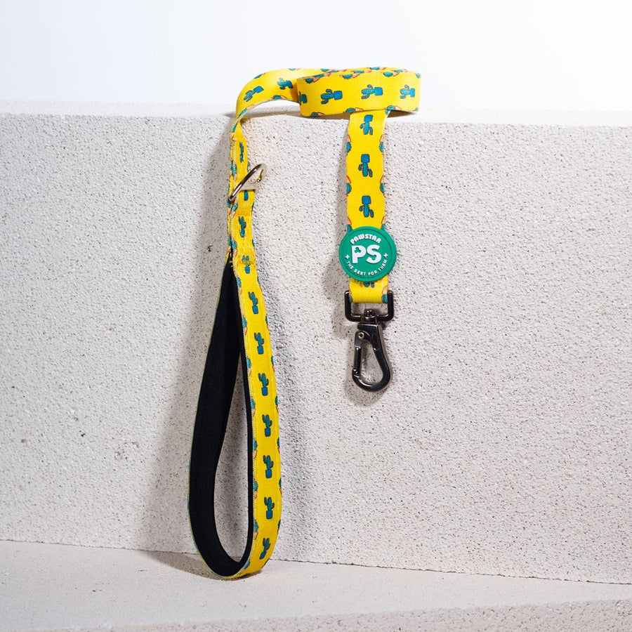 L16 Cactus Sevk Leash