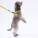 L16 Cactus Sevk Leash