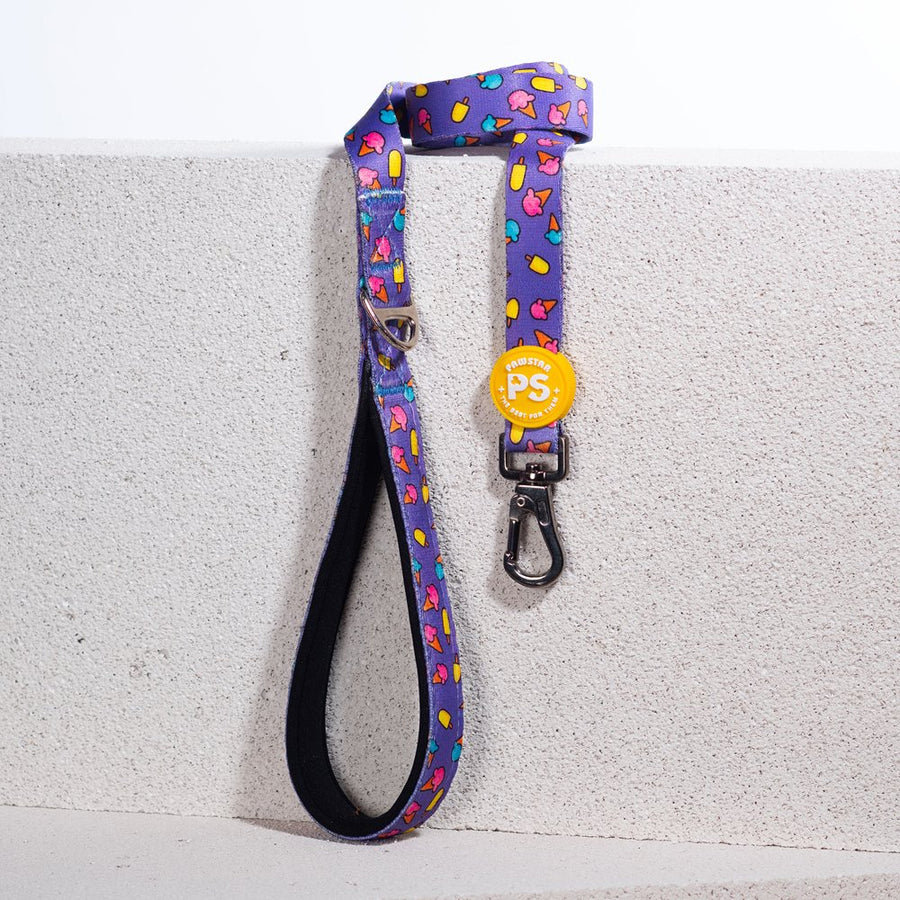L19 Ice Cream Sevk Leash
