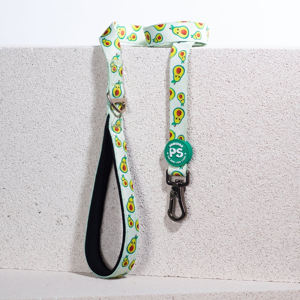 L21 Avocado Sevk Leash