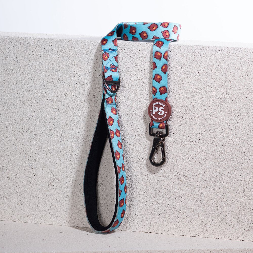L27 Bears Sevk Leash
