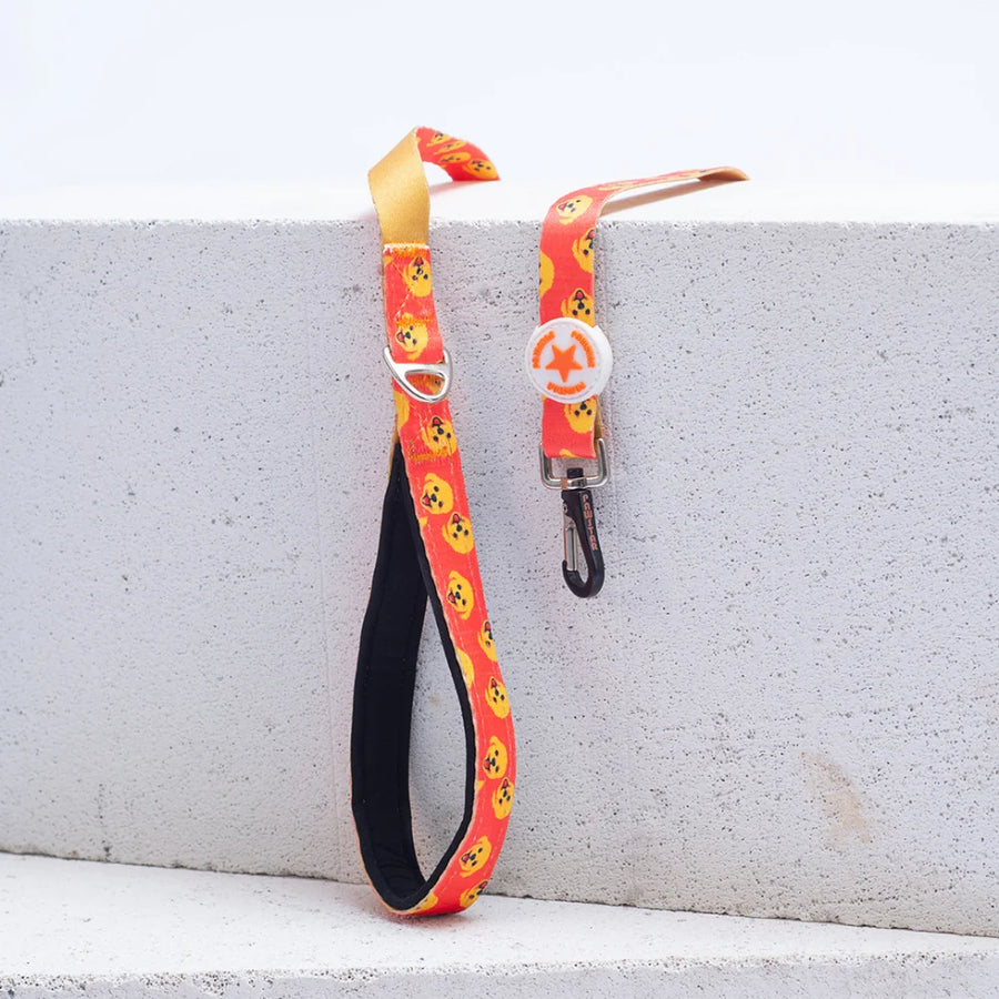 L31 Poodle Patterned Sevk Leash