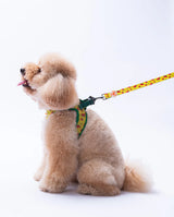 L32 Watermelon Karpuz Patterned Sevk Leash