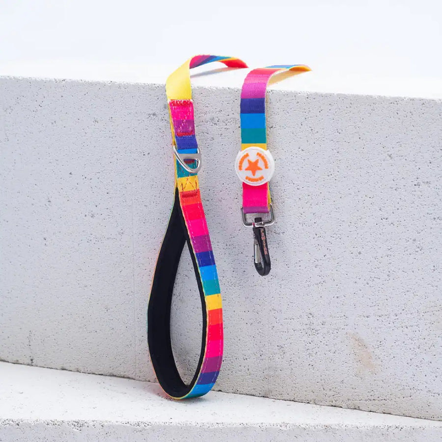 L34 Rainbow Rainbow Patterned Sevk Leash
