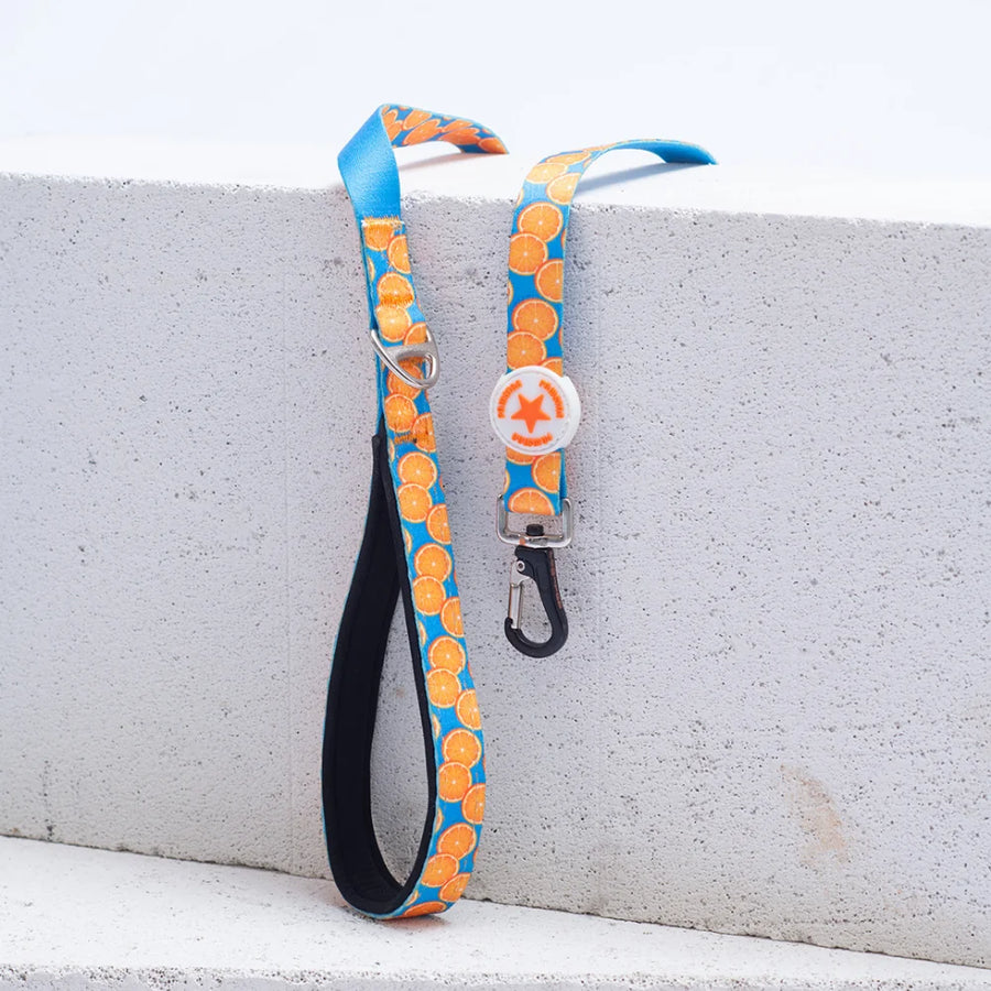 L37 Citrus Portakal Patterned Sevk Leash
