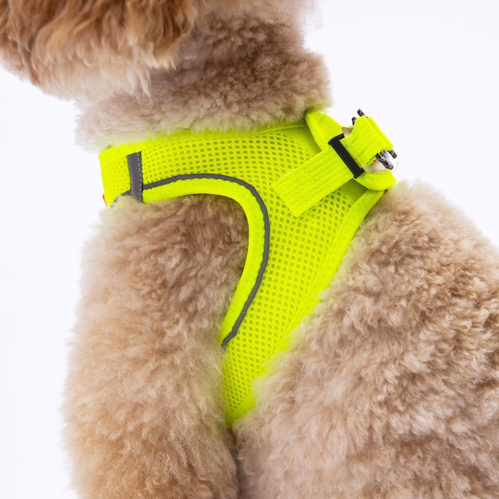 Neon Yellow- Neon Yellow Airmesh Dog Harness