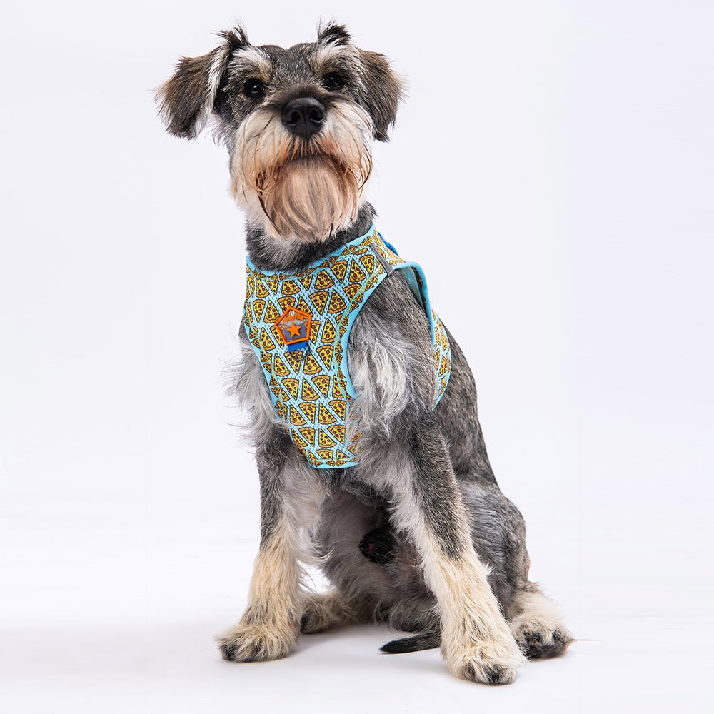 Airmesh Pizza Harness