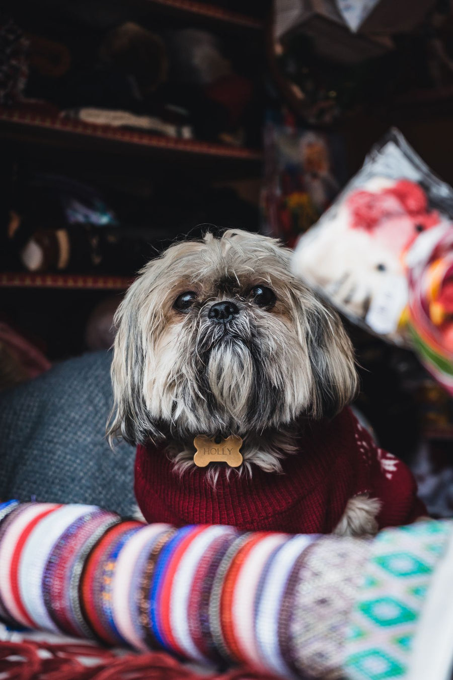 Sweater + Bandana Set